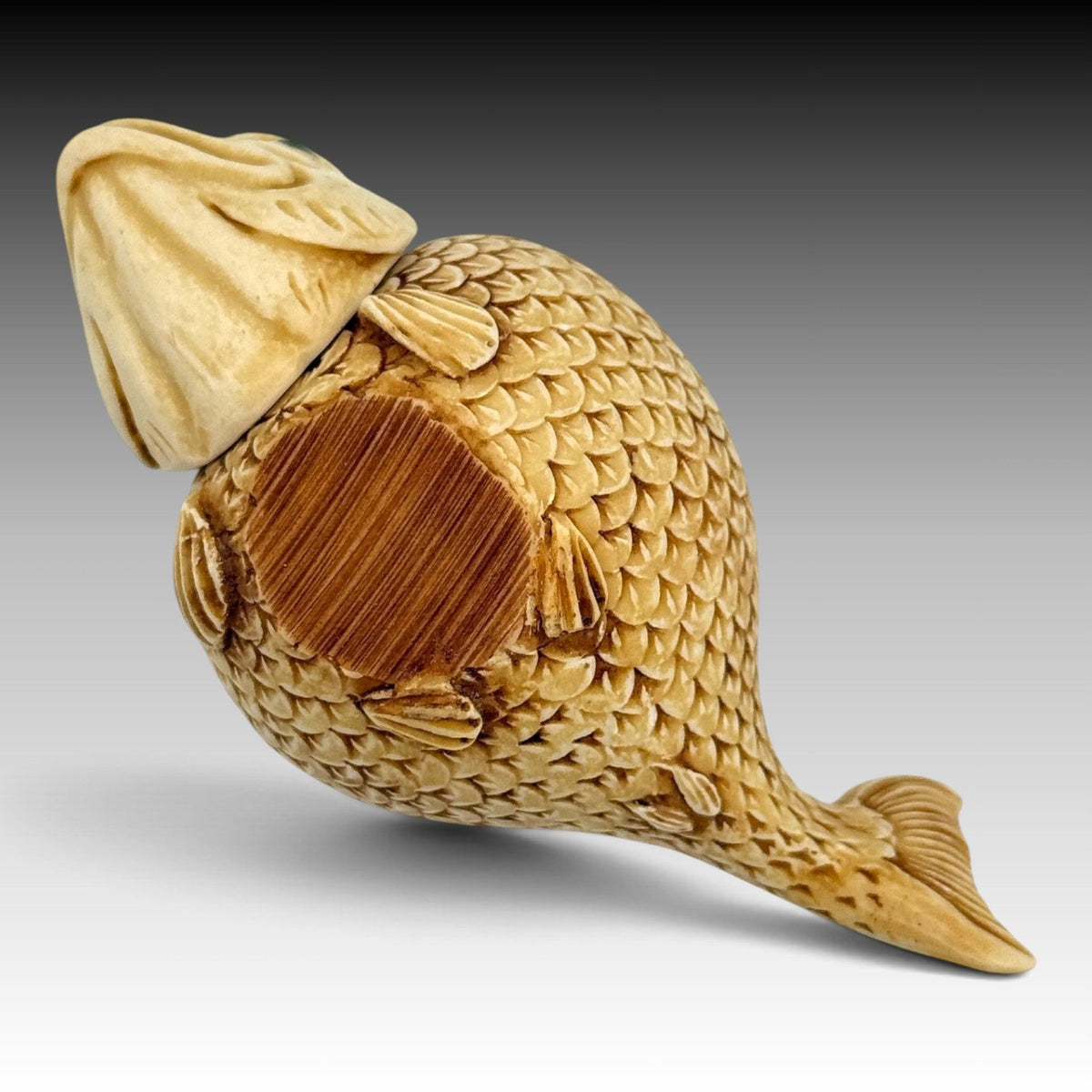 Harmony Kingdom Make a Wish TJIFI Interchangeables Fish Archive Figurine