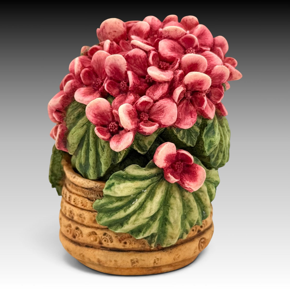 Harmony Kingdom Begonia HGBE