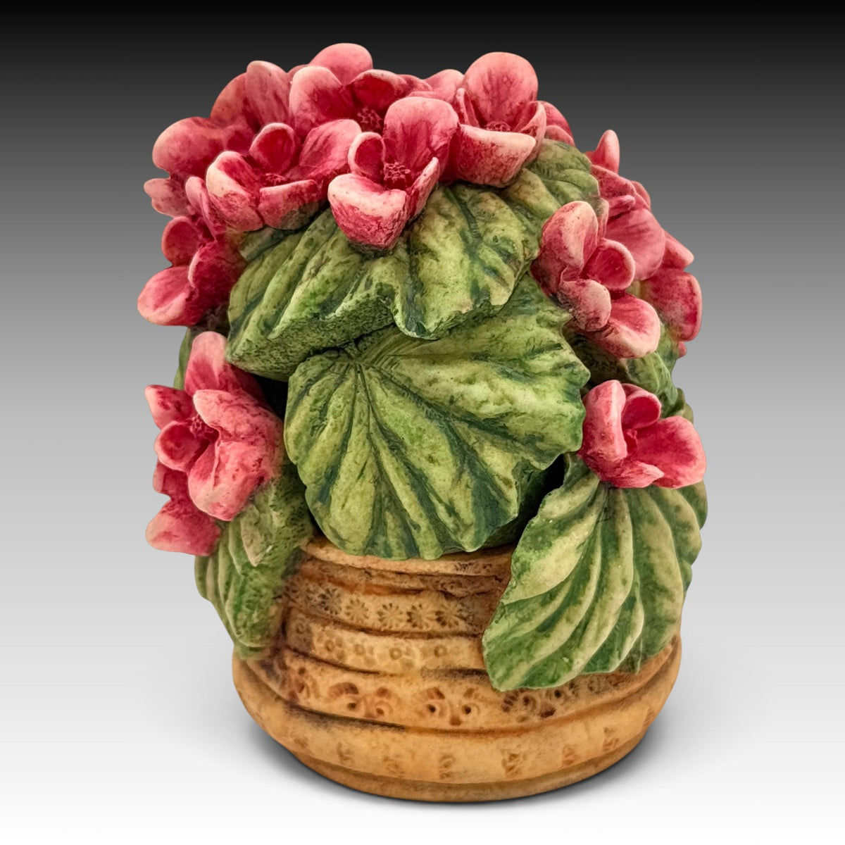 Harmony Kingdom Begonia HGBE